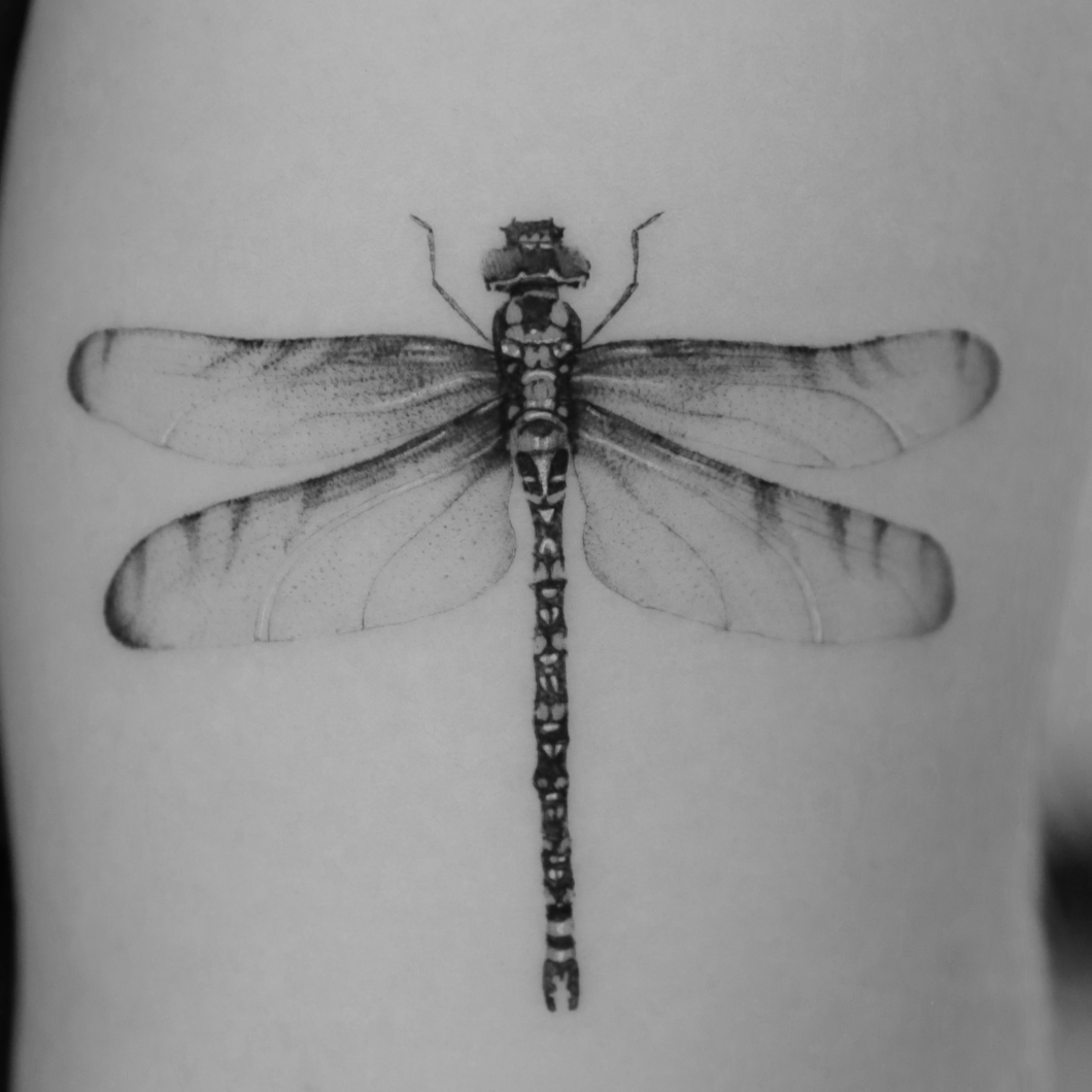 Dragonfly Realistic Tattoo by @masnu.tattoo Resident Artist at Mommy I'm Sorry Stuttgart